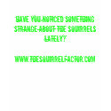 Evil Squirrel Female t-shirts by ZNichols Evil Squirrel Female t-shirts