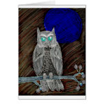 Evil White Owl Evil White Owl