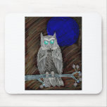Evil White Owl Evil White Owl