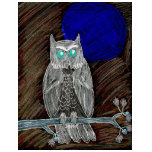 Evil White Owl Evil White Owl