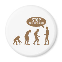 evolution4 magnets