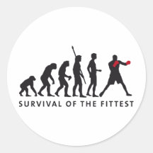evolution boxing round stickers