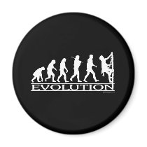 Evolution - Climbing Magnets