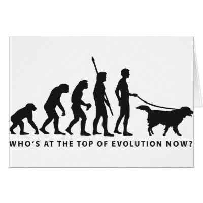 Dog Evolution