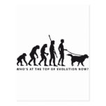 evolution dog postcard