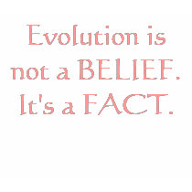 Evolution is not a BELIEF. It's a FACT. t-shirts by rationalatheistStar Evolution is not a BELIEF. It's a FACT. t-shirts