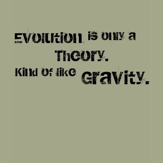 Evolution is only a Theory. Kind of like gravity. shirt