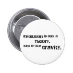 Evolution is only a theory. pin