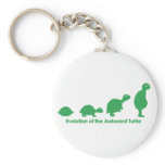 Evolution keychains