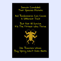 Evolution Limerick posters