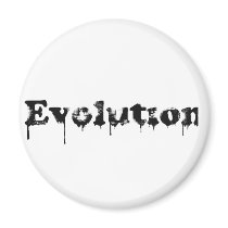 Evolution Fridge Magnets