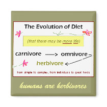 Evolution of Diet Magnet magnets