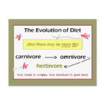 Evolution of Diet Postcard