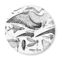 Evolution of Flight Fridge Magnet
