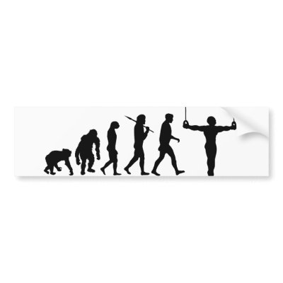 Evolution of Gymnastics Gymnasts gifts Bumper Sticker