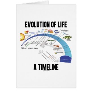 Evolution Of Life A Timeline (Biology) Card