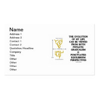 Evolution Of My Life Viewed Phyletic Gradualism Double-Sided Standard Business Cards (Pack Of 100)