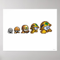 Evolution of Neo-metol Poster