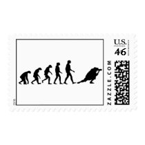 Evolution of Photography Stamp