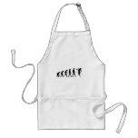 Evolution of Ski aprons