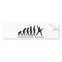 evolution of skirt bumper stickers