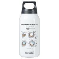 Evolution Of The Eye 10 Oz Insulated SIGG Thermos Water Bottle