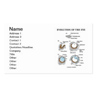 Evolution Of The Eye (Developmental Biology) Double-Sided Standard Business Cards (Pack Of 100)