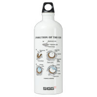Evolution Of The Eye SIGG Traveler 1.0L Water Bottle