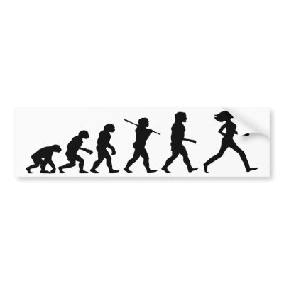 Evolution Of Monkeys