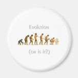 Evolution or Is It Fridge Magnets