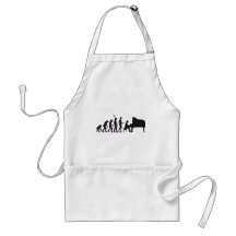 evolution piano aprons