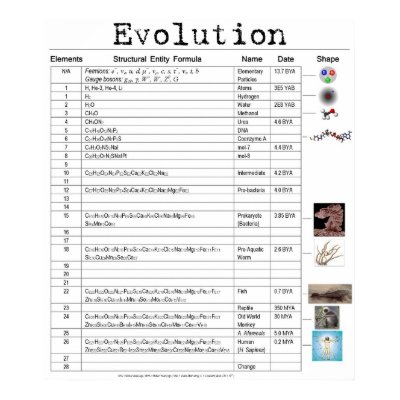 Evolution Poster by Libbthims