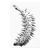 Evolution posters by Sanity23 Evolution posters