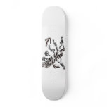 EVOLUTION SKATEBOARD DECKS