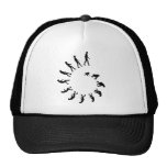 Evolution Spiral Trucker Hat