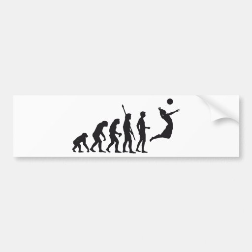 evolution volleyball bumper sticker Zazzle