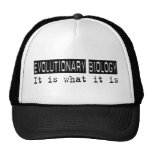 Evolutionary Biology It Is Mesh Hat