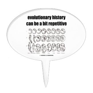 evolutionary history can be a bit repetitive cake pick