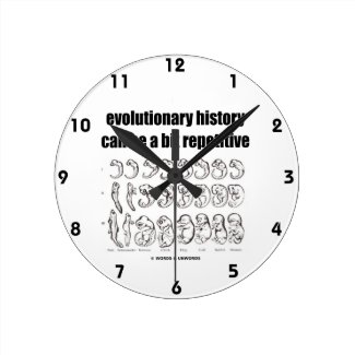 evolutionary history can be a bit repetitive round clock