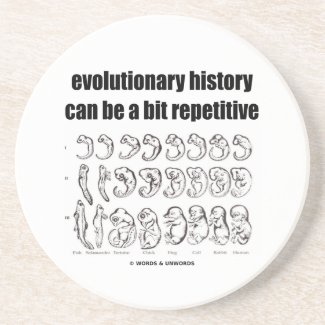 evolutionary history can be a bit repetitive beverage coaster