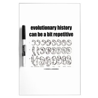 evolutionary history can be a bit repetitive dry erase whiteboards