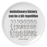 evolutionary history can be a bit repetitive party plates