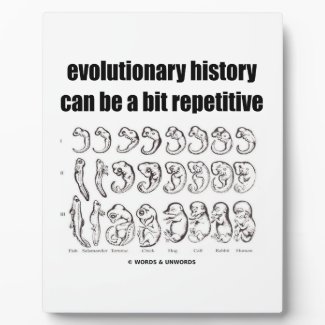 evolutionary history can be a bit repetitive plaques