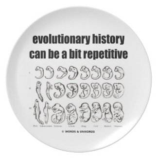 evolutionary history can be a bit repetitive party plate