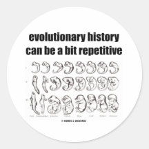 evolutionary history can be a bit repetitive round stickers