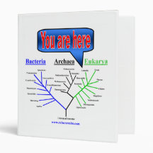 Evolutionary Tree Binders
