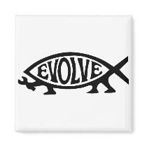 Evolve Fish Magnets