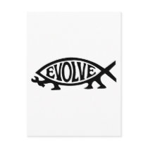 Evolve Fish Postcards