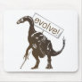 evolve! mousepads