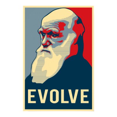 Evolve Print by darwin2009